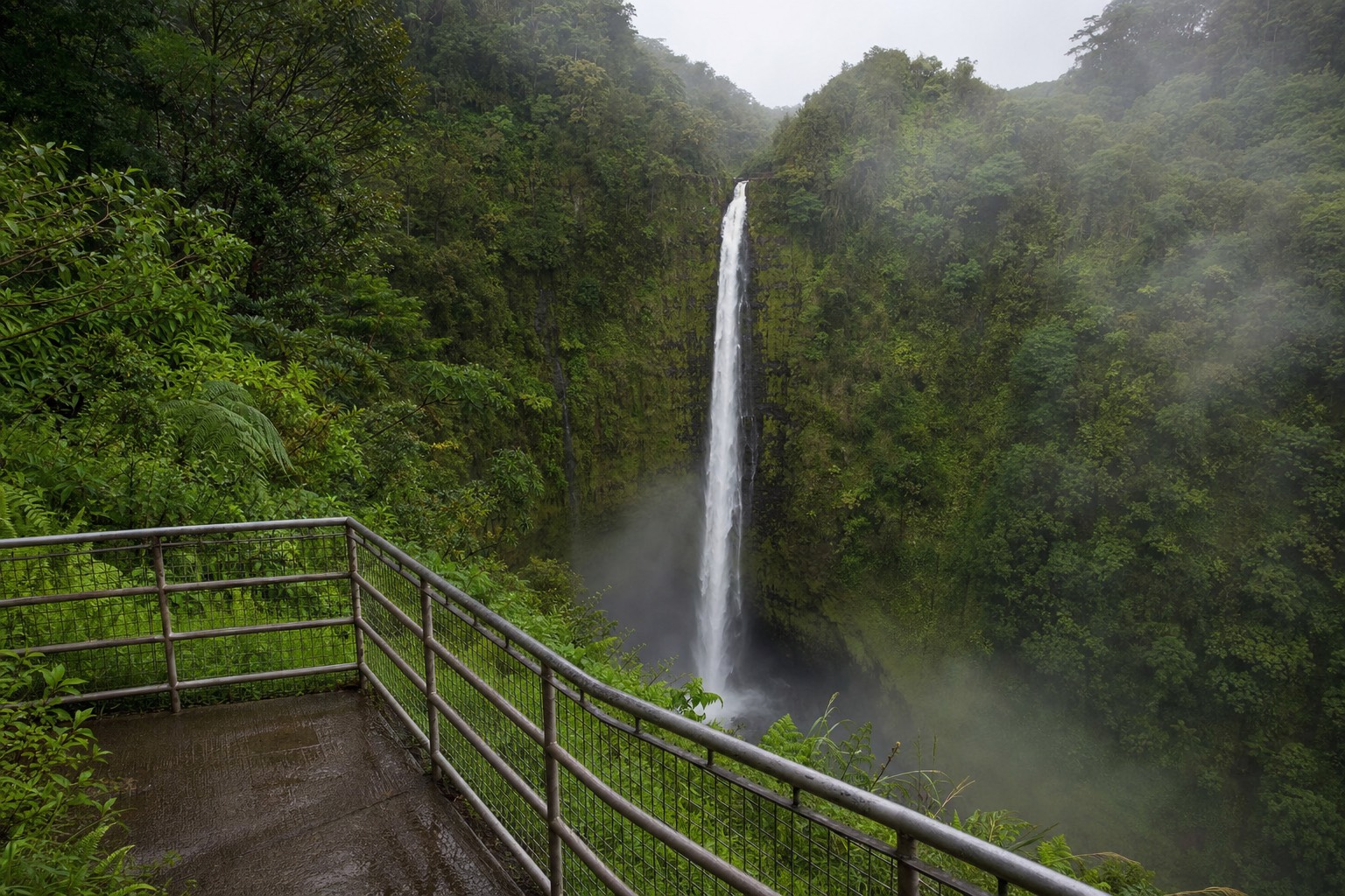Akaka Falls dropping into a misty green gorge in early morning light with an empty lookout railing in the foreground