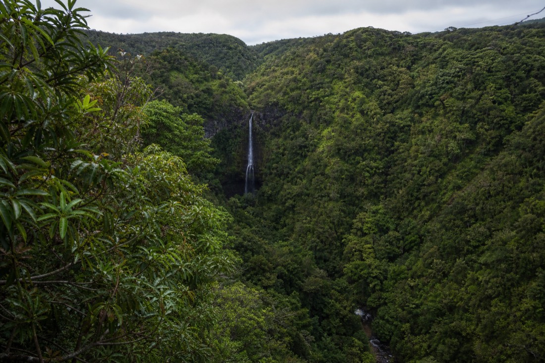View across a deep green gulch toward KoleKole Falls from high on the zipline course