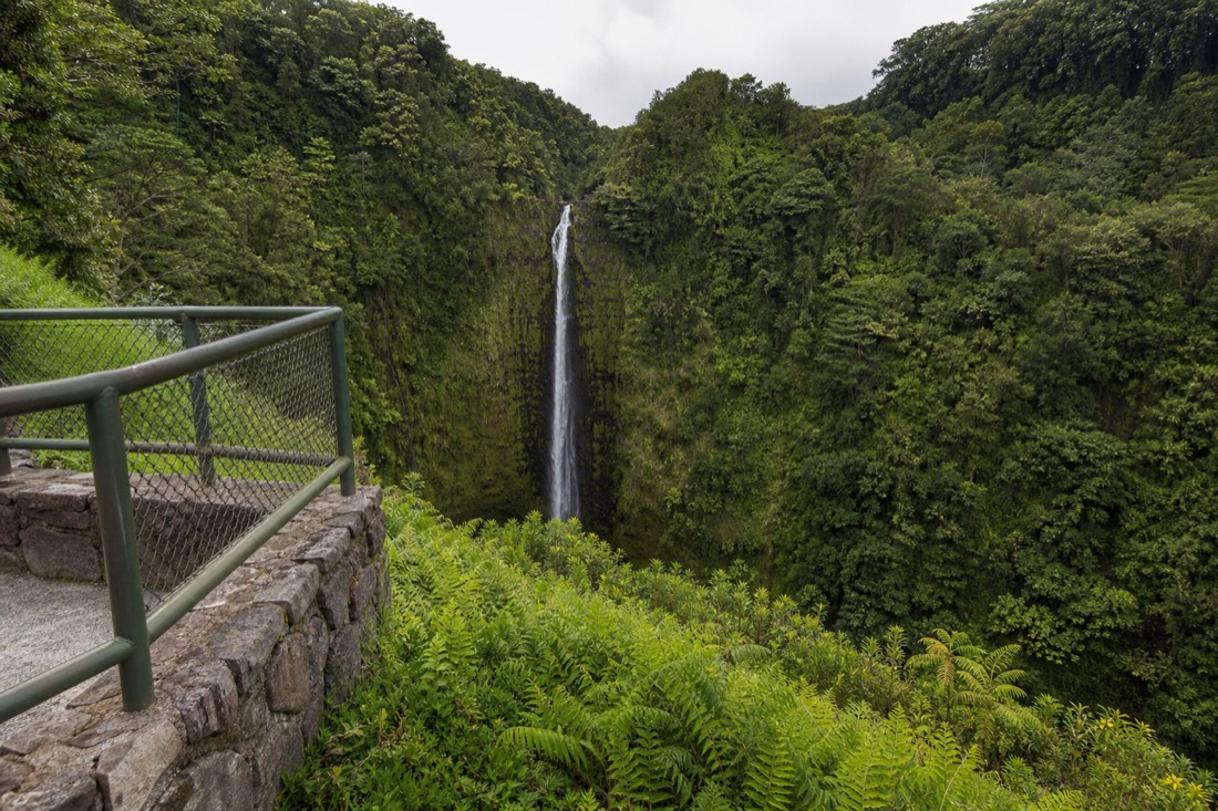 Visitors at the ʻAkaka Falls overlook with the 442-foot waterfall dropping into the green gorge