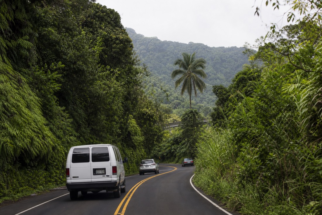 Vans and rental cars leaving Hilo toward the Hamakua Coast on a cruise morning