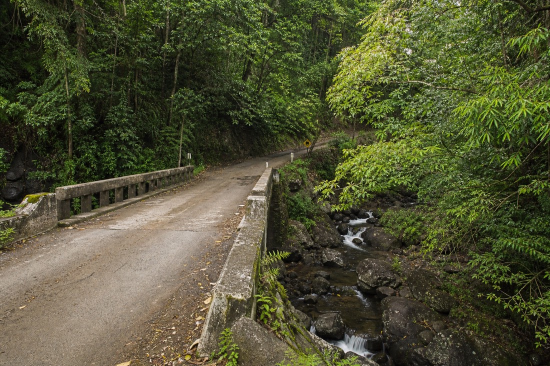 One-lane bridge crossing a rain-fed stream in a deep green gulch on the old Hamakua coastal road