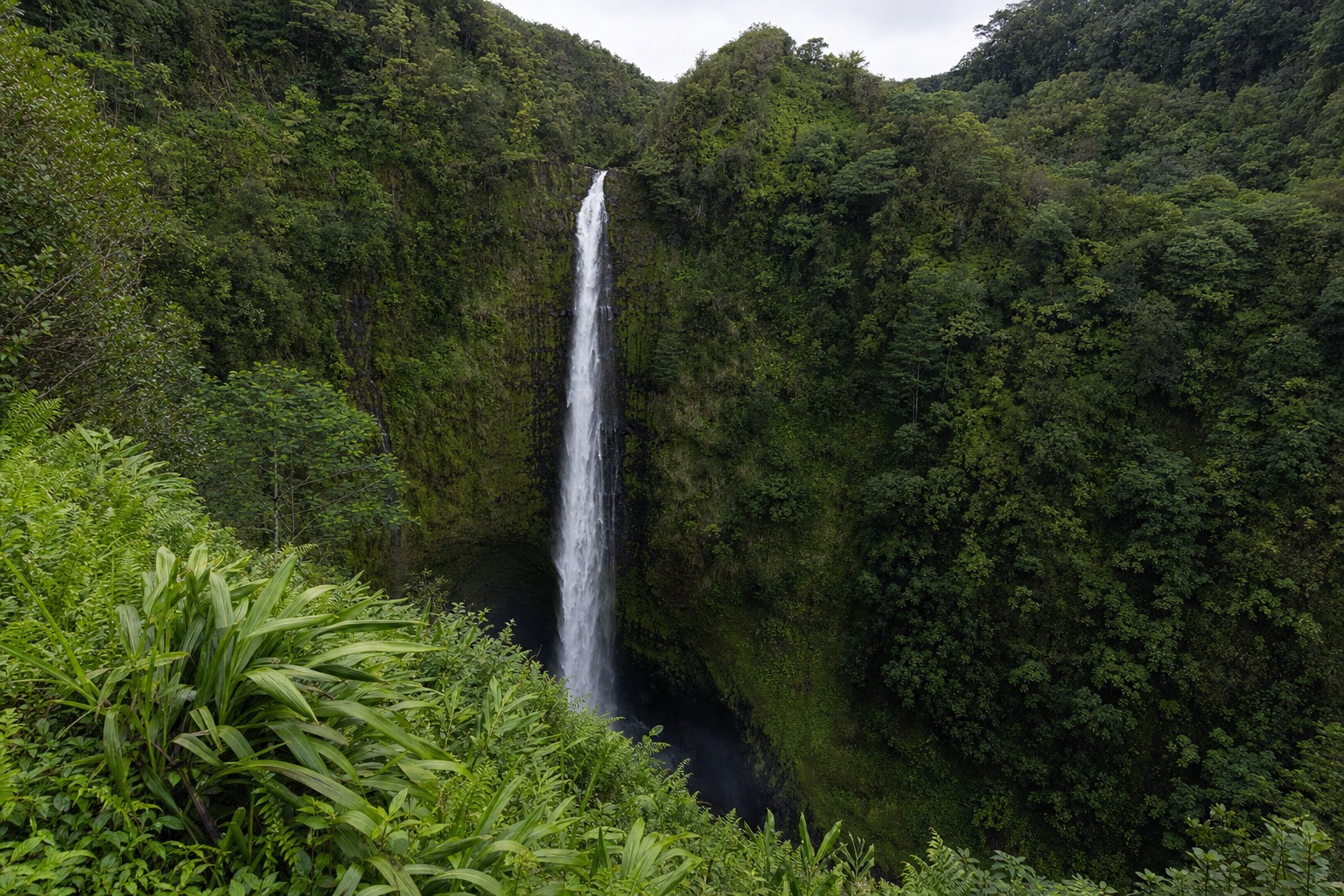 Tall tropical waterfall plunging into a jungle gorge, the kind of scene visitors associate with dinosaur movies
