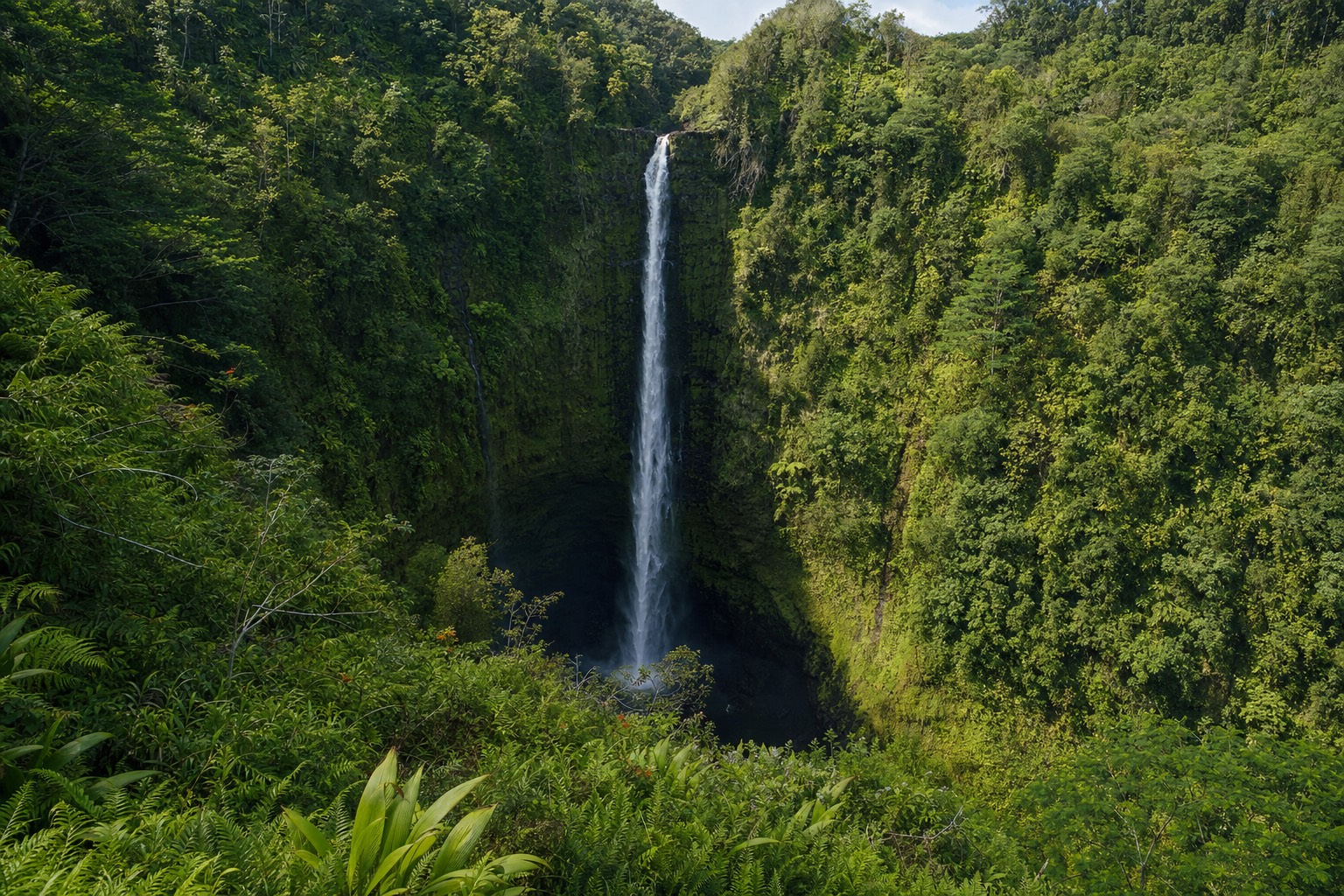 Morning light on ʻAkaka Falls dropping 442 feet into the rainforest gorge on the Hamakua Coast
