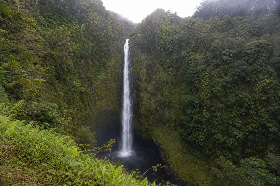 Soft morning light on Akaka Falls with the gorge walls in even shade