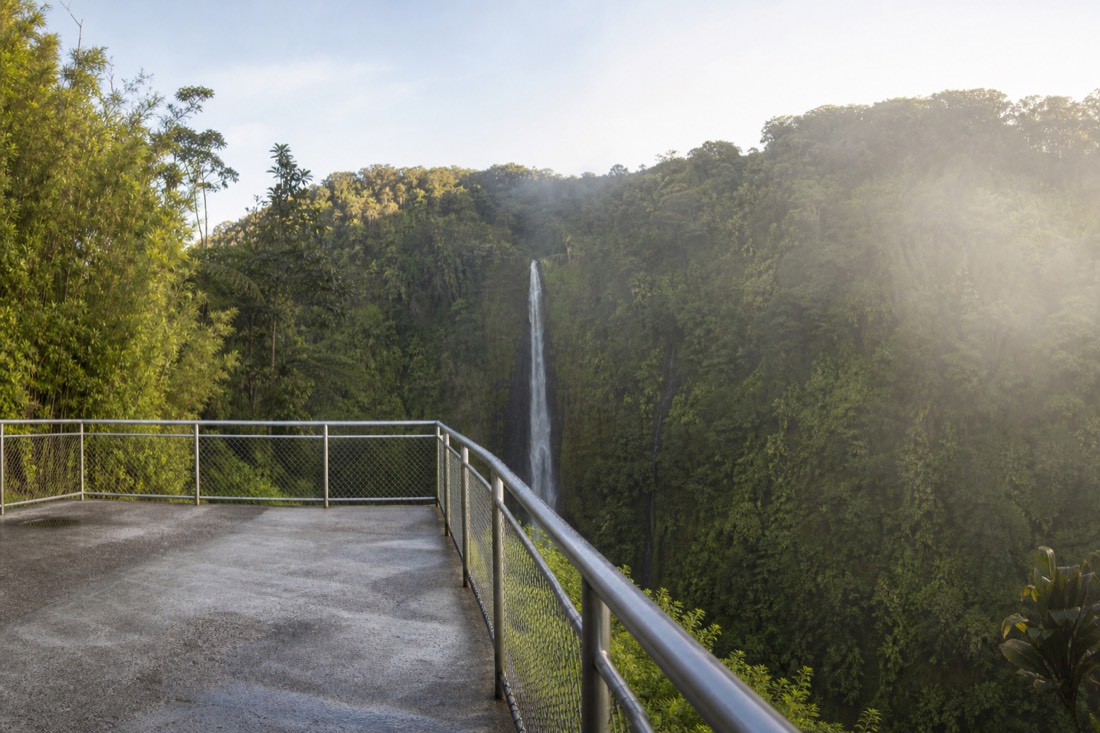 Nearly empty viewing platform facing Akaka Falls in soft early morning light
