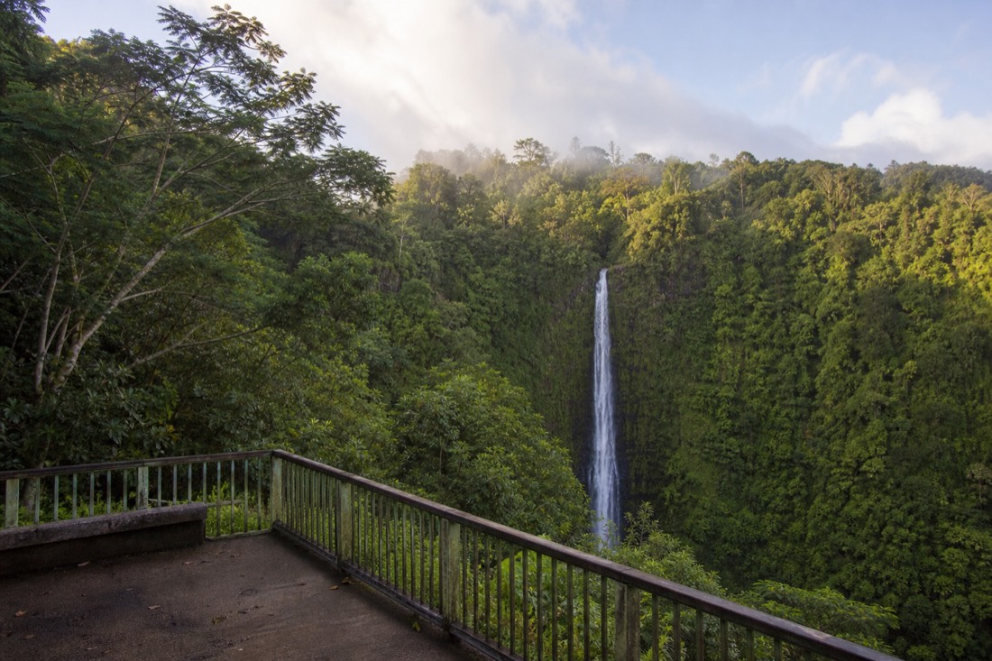 Empty viewing railing facing Akaka Falls early in the morning before crowds arrive