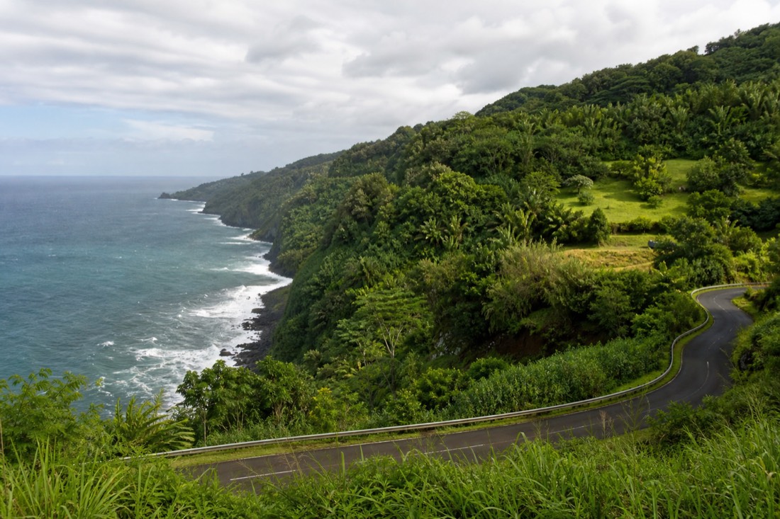 Winding Hamakua Coast road with ocean cliffs and green pasture north of Akaka Falls