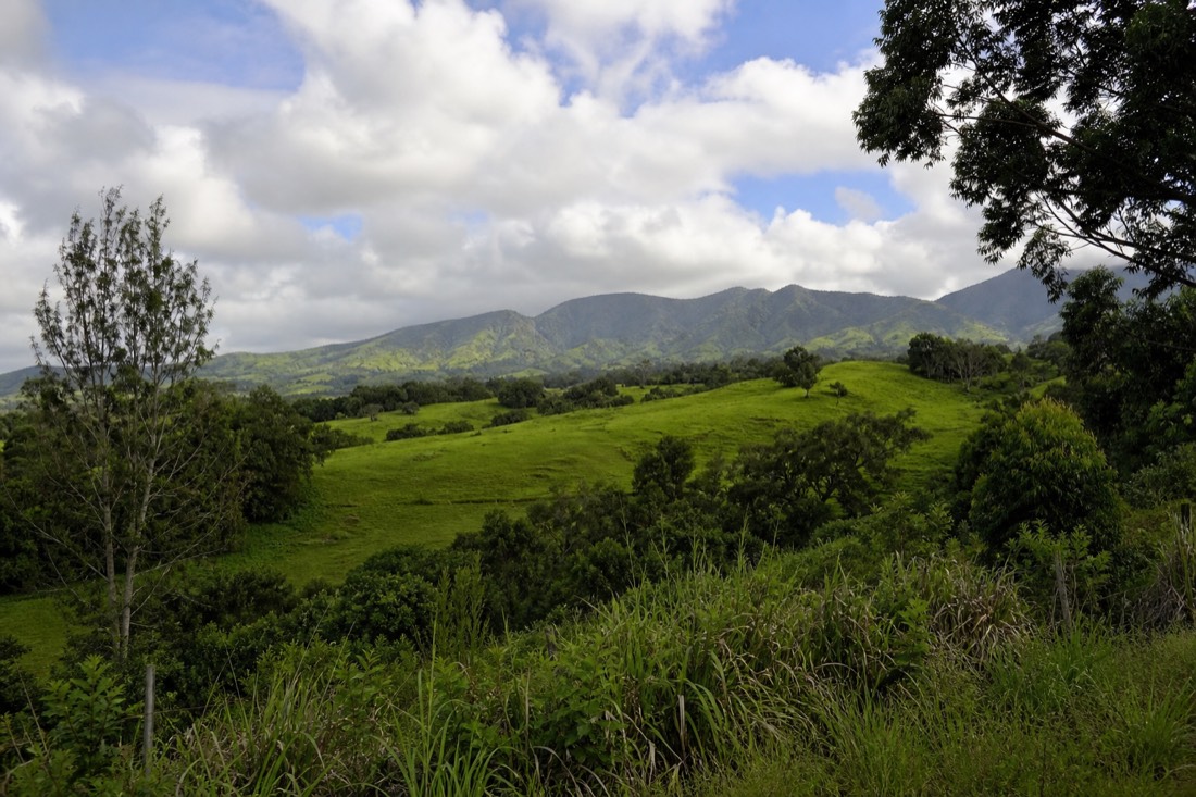 Green ranch country near Waimea on the northern driving route from Kona to the Hamakua Coast