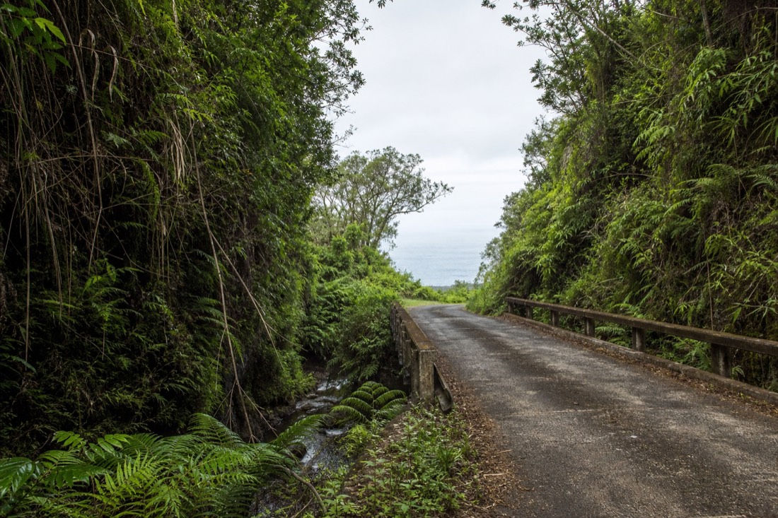 One-lane bridge crossing a fern-filled gulch on the Hamakua Coast with the ocean visible beyond