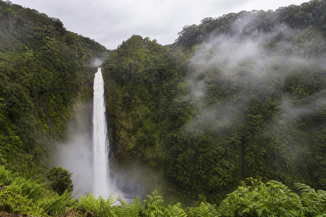Akaka Falls running full and white after heavy rain, thick mist drifting up the walls of the steep green gorge, wet dark lava rock, low cloud overhead
